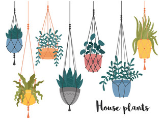 Set of macrame hanging plants in pots. Hangers with potted indoor garden flowers. Handmade home decorations made of cotton rope or cord.Hand drawn cartoon,Scandinavian Hygge style.Vector illustration