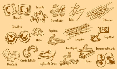 Types of popular italian pasta, vector