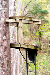 A homemade tree stand.