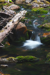 Fototapeta premium A creek with clear water in a mountainous area closeup.