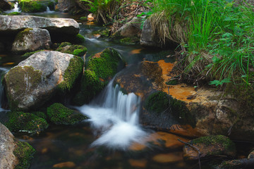 A creek with clear water in a mountainous area closeup.