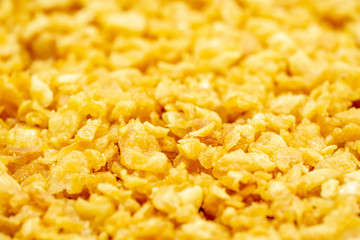 Deep fired garlic with depth of field.