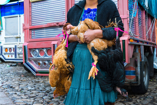 La mujer vende gallinas en el mercado popular de San Cristobal de las Casas en Chiapas.