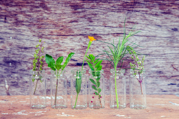 Essential herbs in a bottle on wooden board with wooden background.