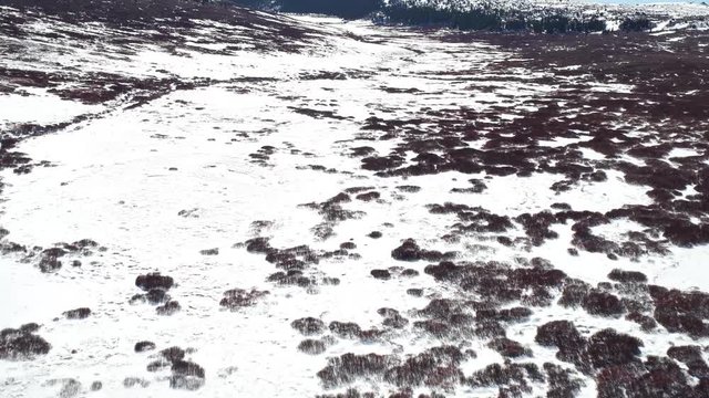 Aerial drone video of the mountain landscape found at Guanella Pass Trail that leads to Mt. Evans in Arapahoe National Forest in Colorado