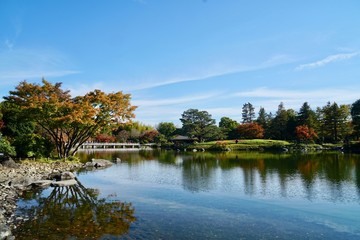 秋の日本庭園