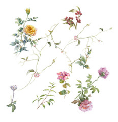 watercolor painting of leaves and flower, on white background