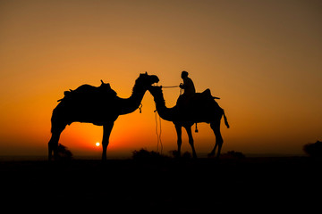 Fototapeta na wymiar Silhouette of camel trader crossing the Thar Desert in Jaisalmer, India.