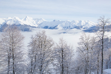 natural landscape mountains