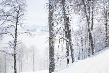 natural landscape mountains
