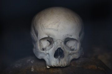 The human skull in an ancient burial in the mountains of Ingushetia.