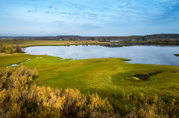 Autumn landscape, which depicts a lake, trees and other plants in yellow-green tones.