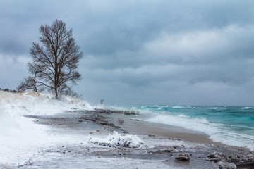 Lone tree braving the icy winter storm near point betsie light house, Benzie county Michigan.