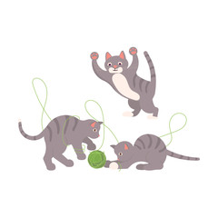 Cute gray kittens play