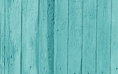 Old wooden wall in cyan color.