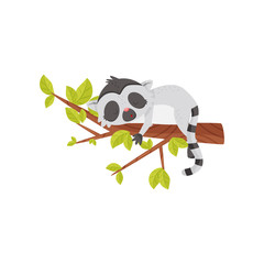 Adorable lemur sleeping on tree branch. Exotic animal with long striped tail. Flat vector icon