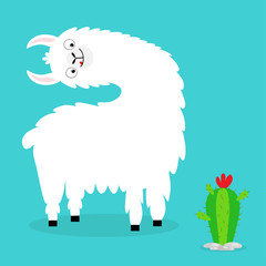 Llama alpaca turning head face. Cactus. Cute cartoon funny kawaii character. Fluffy hair fur. Childish baby collection. T-shirt, greeting card, poster template print. Flat design. Violet background.