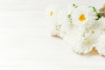 Obraz premium White autumn chrysanthemum flowers on white wooden background Copy Space. Chrysanthemum wallpaper. Floral background. Autumn bouquet lifestyle