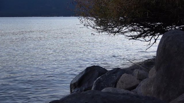 Slow motion waves on the rocks and bird landing