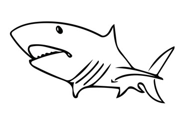 Shark