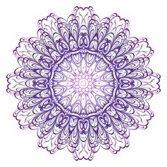 Modern Decorative Cicle Shapes. Floral mandala. vector illustration