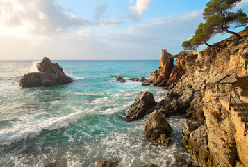 Rock with green pine and with stair by sea