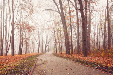 Fototapeta na wymiar Path in city park on a cold and foggy November morning