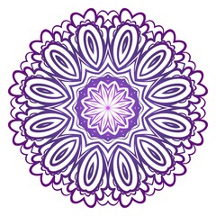Modern Decorative Cicle Shapes. Floral mandala. vector illustration