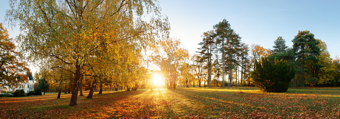 Beautiful park garden in atumn. Fall panorama in park at sunrise in Slovakia