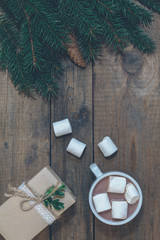 Hot chocolate with marshmallow, Christmas gift and spruce branch