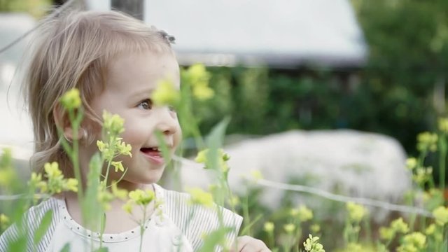 Little happy girl walks in summer meadow in yellow flowers