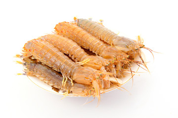 Fresh mantis shrimp on a white background