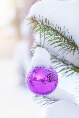 Christmas ball on the pine snowy branch. Selective focus