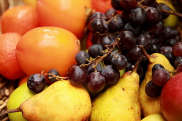 Panier de fruits de saison bio