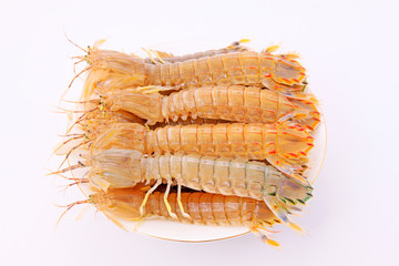 Fresh mantis shrimp on a white background