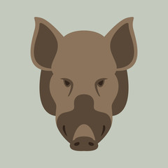 wild boar. vector illustration.flat style,