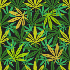Cannabis marijuana seamless pattern. Vector illustration.