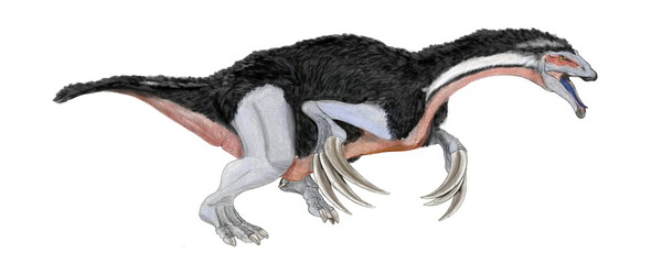 テジリノサウルス　恐竜　白亜紀後期にモンゴルに生息。獣脚類に分類されるが、近種の恐竜の完全骨格が発見され、肉食性の凶暴な恐竜というイメージは払しょくされた。巨大な爪を持つ。比較的動作の鈍い植物食、もしくは魚食性の恐竜とされる。大型であるが、腕の構造が鳥類のような羽ばたきの動きも可能な構造であったことから、今回鳥類の羽をイメージするイラストに修正した。威嚇するテリジノサウルス。体長11メートル。