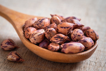Roasted striped peanuts on wooden spoon