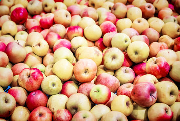 many fresh raw red apples as background