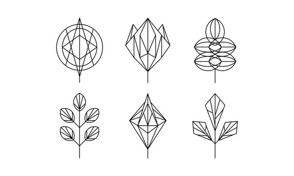Geometrical leaves set, monochrome polygonal plants vector Illustration on a white background