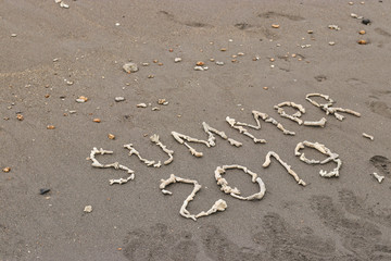 The inscription on the sand laid out of corals. Summer 2019 travel concept. With copy space for text