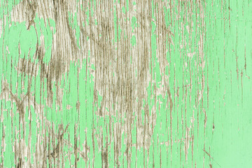 Fototapeta premium green light coloured background. peeling paint on an old wooden floor