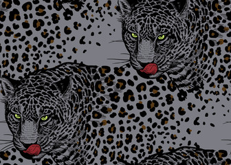 Seamless pattern with Leopards.