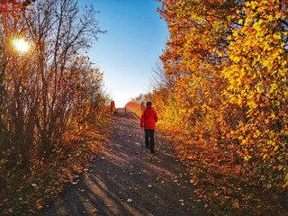 Obraz premium Nordic Walking im Herbst