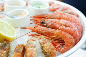 Assorted shrimps on ice with sauces