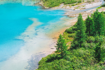 Fototapeta na wymiar View above on amazing vivid azure mountain lake in valley. Conifer trees in sunlight. Rich vegetation of highlands. Clean blue calm water. Wonderful sunny day. Picturesque landscape of majestic nature