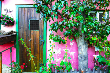 Fototapeta na wymiar Typical Austrian Alpine house with bright flowers and trees