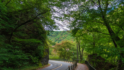 碓氷峠第三橋梁　めがね橋