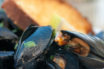  black mussels with crispy bread on a plate